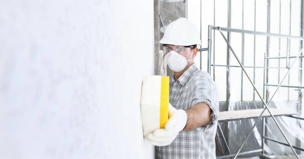 Mold Odor Removal Services in Winter Park, FL