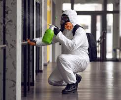 Professional Mold Removal & Remediation in Winter Park, FL